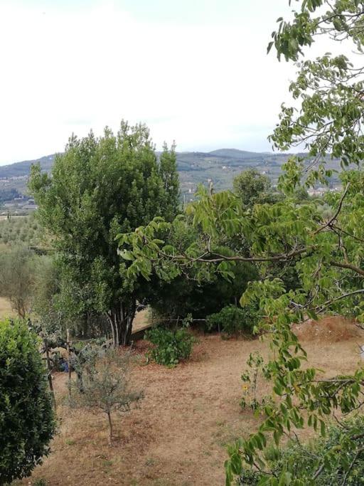 באנו א-ריפולי I Rosai Appartamento Sulle Colline Fiorentine מראה חיצוני תמונה